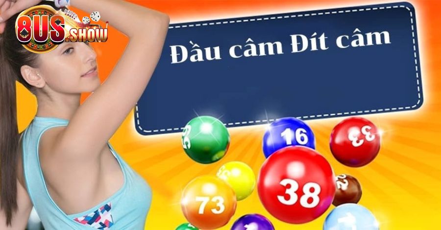 Dựa vào đầu đuôi câm để bắt số tại miền Bắc