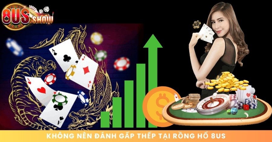 Không nên áp dụng chiến thuật gấp thếp trong Dragon Tiger